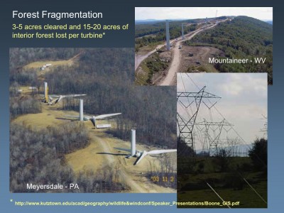 NASBR_24Oct08_BOONE-WEBB_forest-fragmentation
